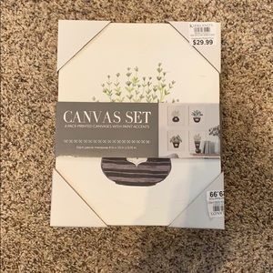 canvas set